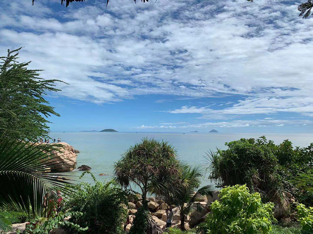 1574904273697183.jpg 6.jpg